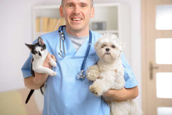 parassiti gastrointestinali_veterinario con cane e gatto