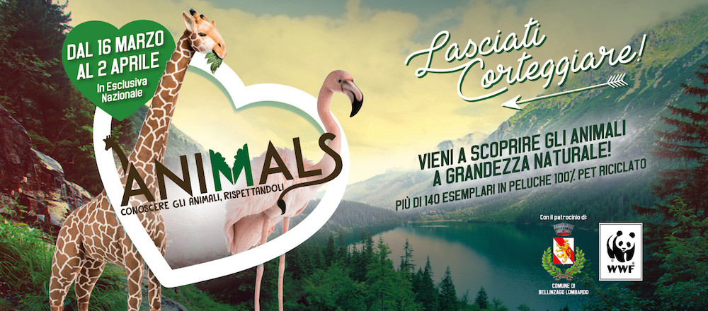 Animals evento