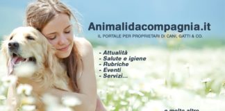 animalidacompagnia.it editoriale