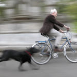 Dog-Chase-Bicyle