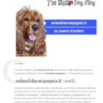 Theitaliandogblog
