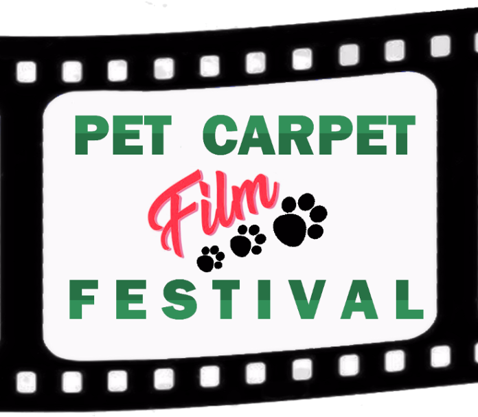 pet carpet cinema festival