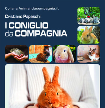 Il-coniglio-da-compagnia-copertina-Point-Vétérinaire-Italie
