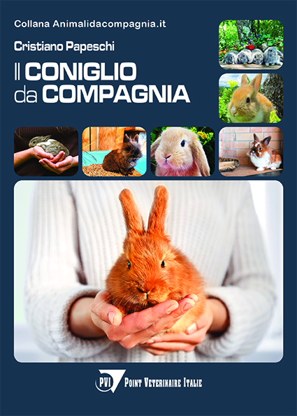 Il-coniglio-da-compagnia-copertina-Point-Vétérinaire-Italie
