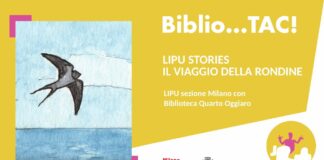 LIPU-Stories-il-viaggio-della-rondine-