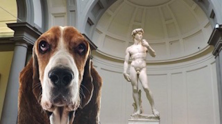 Al museo con il cane TripForDog.com