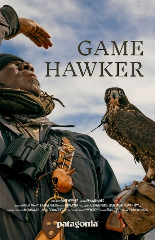 film Game Hawker falconeria