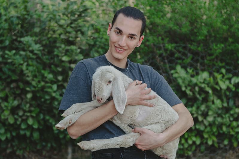video Pasqua agnello Animal Equality