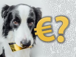 cane quanto costa