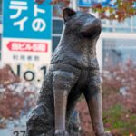 Statua Hachiko