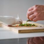 verdura-uccelli-preparazione